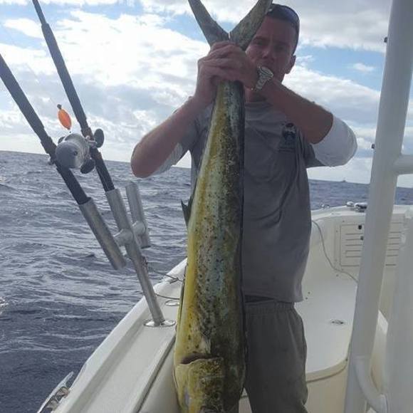 Meet your Posher, Kevin - Picture 1 of 1